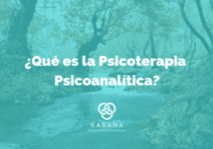 Carátula Blog Karana